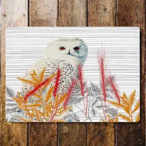 White Owl Among Red And Orange Leaves  Metal Sign Plaque