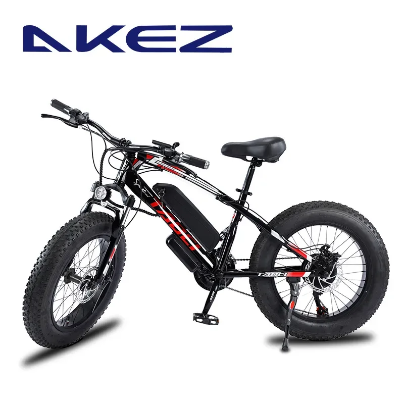 20 Inch Fat Tire Electric Bicycle 4.0 Wide Tire Snow Bike Variable Speed Off Road Mountain E Bike for Snow Sand