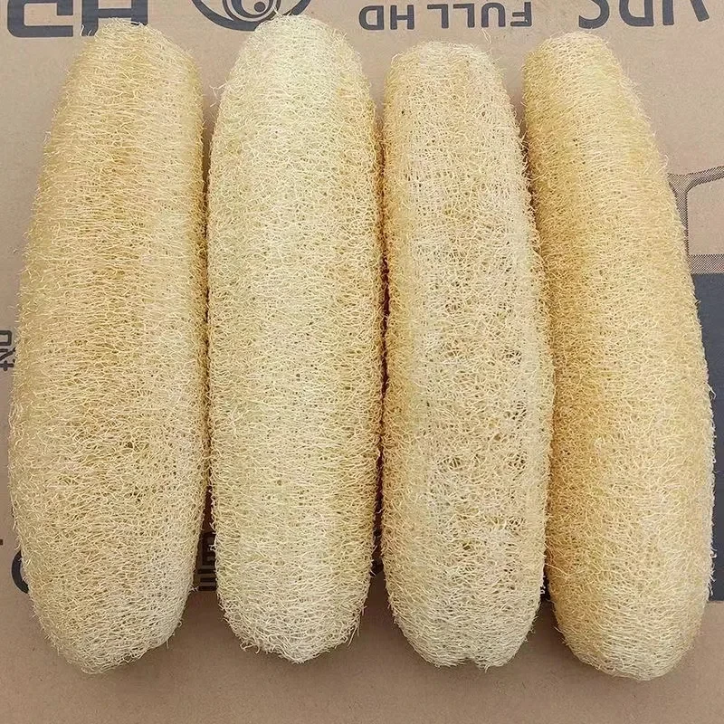 Premium Natural Loofah Sponge, 60-69cm Long & 6-8cm Wide Whole Loofah Scrubber with Hanging Rope, Individually Wrapped