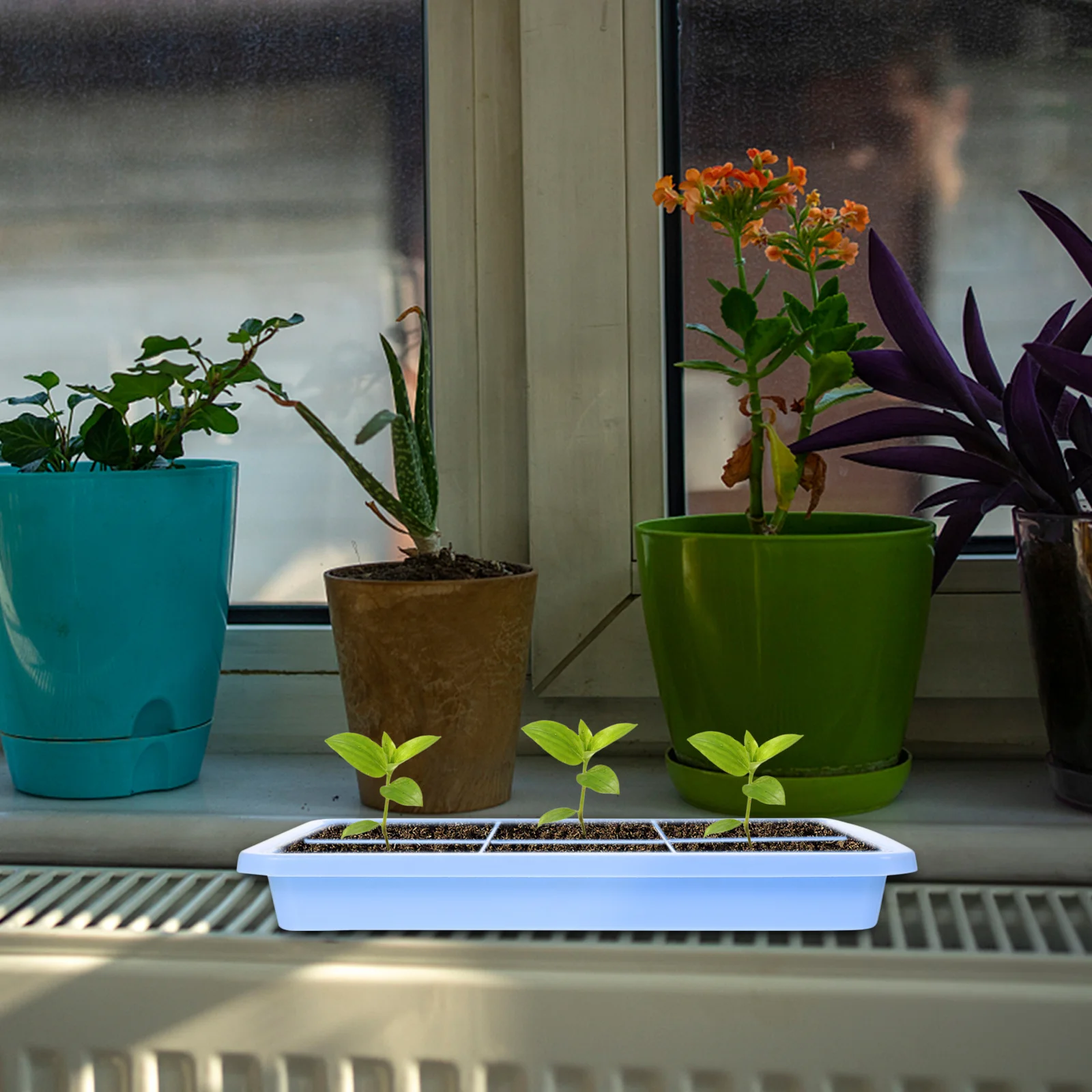 

2 set Germination Tray Double-Layer Plastic Seedlings Box For Wheatgrass Cat Grass Sprouting Multi-Function Hydroponic Nursery