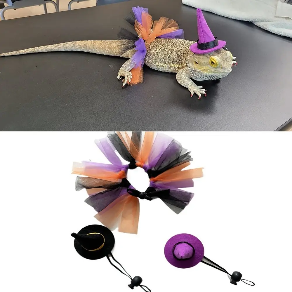 

Funny Mini Pet Halloween Costume Comfortable Adjustable Hat Lizard Witch Costume Set Soft with Ribbon Halloween Lizard Clothes