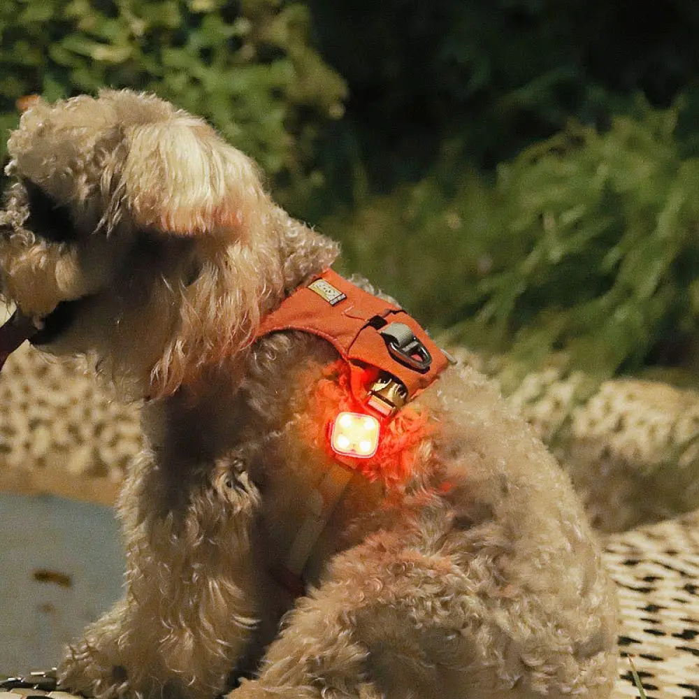 Dog Collar LED Light Pendant Safety Glow Tag Night Walking Marker Flashing Accessory For Outdoor Pet Safety
