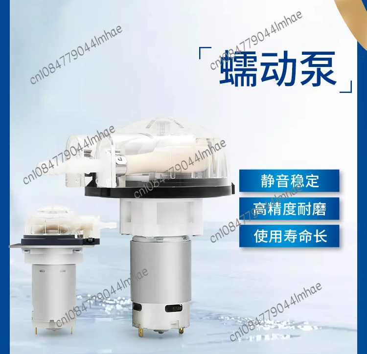 Peristaltic Pump Miniature 12v24v Metering Silent Mini Water Pump Large Flow Self-priming Pump