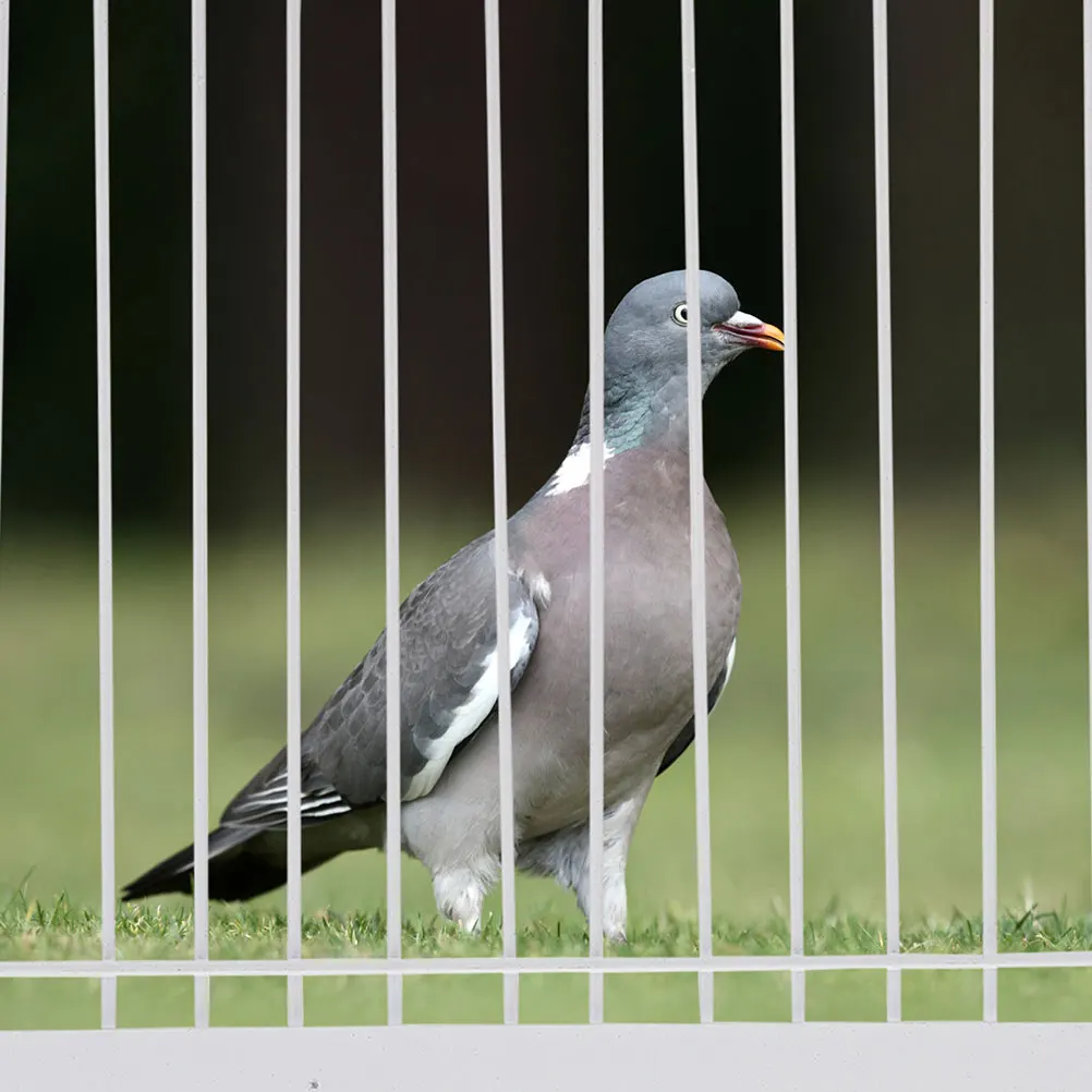 

2pcs Pigeon Cage Door 40x26cm Durable House Entrance Way Trap for Homing Pigeons Safe Installation Long