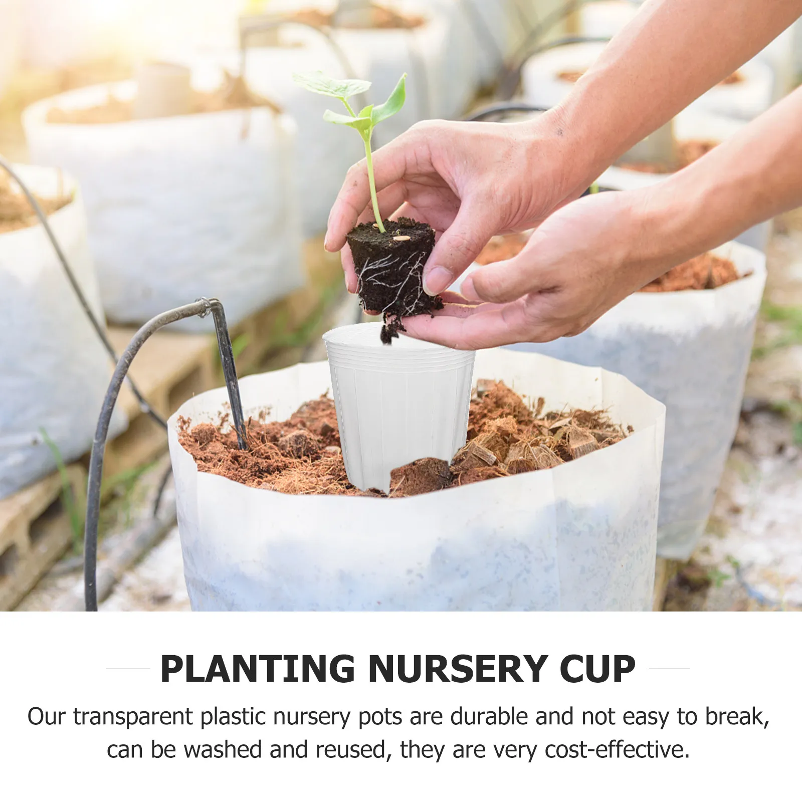 40Pcs Lightweight Reusable Transparent Nursery Pots for Indoor Gardening Seed Starting Small Starter Pots Planting Nursery Cups