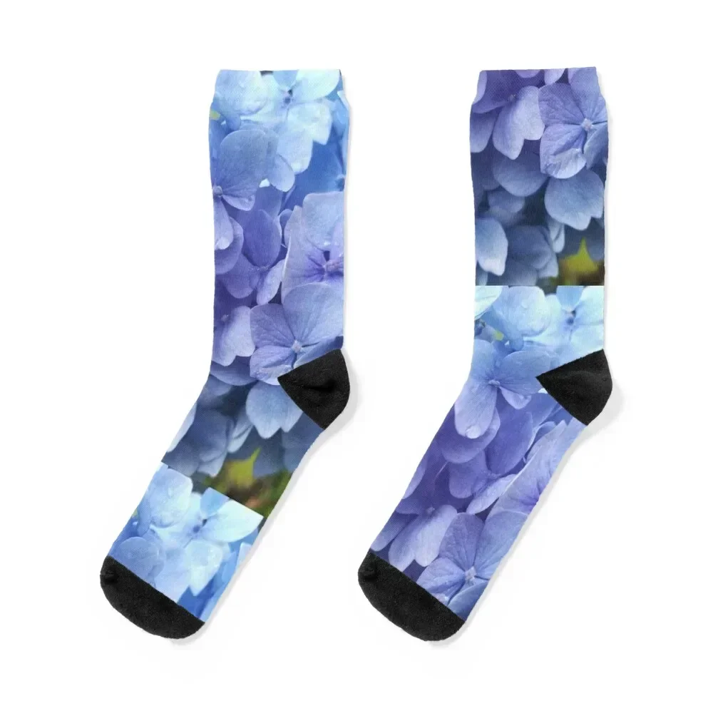 Blue hydrangea photograph Socks loose Argentina Wholesale Socks Woman Men's