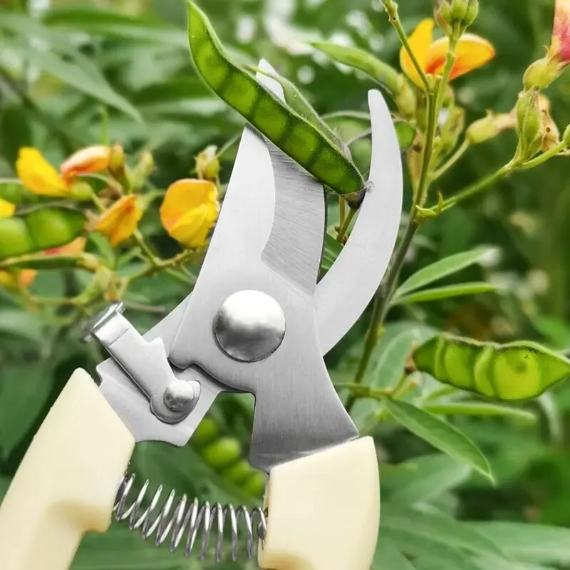 Stainless Steel Scissors Flower Cutting Flower Arrangement Pruning Fruit Tree Garden Branch Cutting Household Grafting