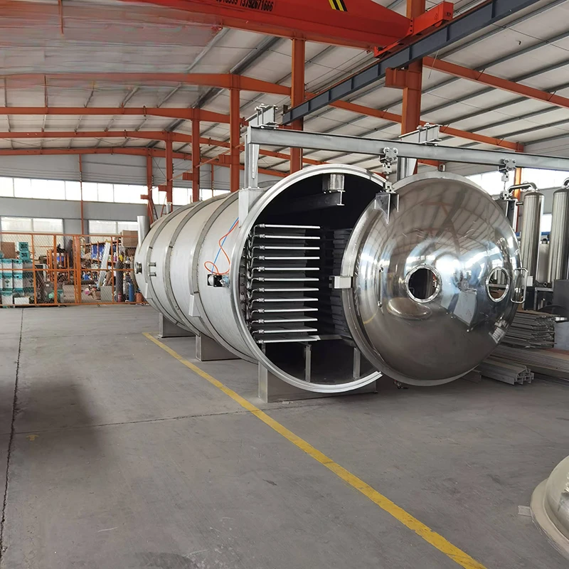 

Китайский поставщик интегрированных вакуумных сублимационных машин для консервации пищевых продуктов, фруктов, овощей и морепродуктов