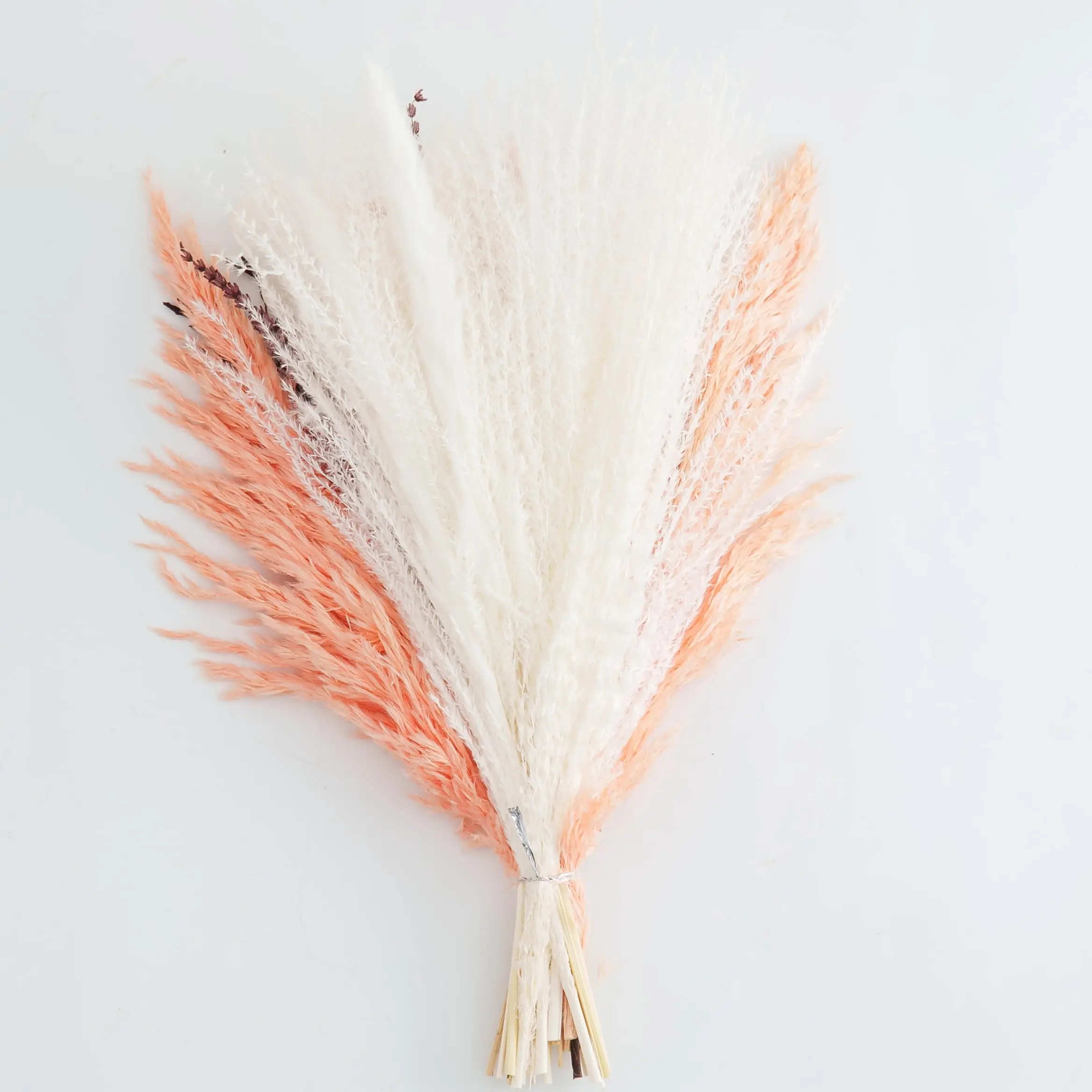 Fall Decor Pampas Grass Bouquet สําหรับ Boho Decor, Pampas Grass Decor ดอกไม้ช่อดอกไม้การจัดดอกไม้, ห้อง, ตกแต่งงานแต่งงาน