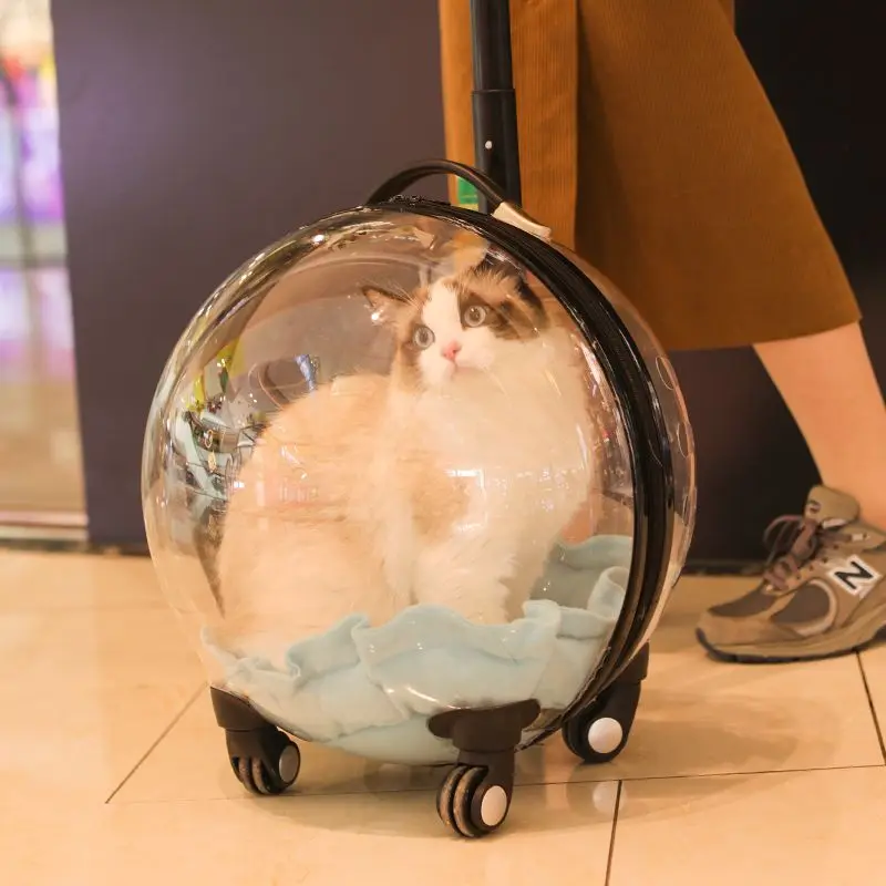 Cat Bag Outdoor Portable Trolley Case Space Capsule Cats Backpack Diaper Bag Large Capacity Transparent Pet Cat Carriers