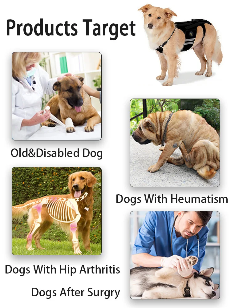 Coodeo Rückenstütze für Hunde mit Arthritis, Rückenbandage für Haustiere bei IVDD, Rückenprotektor zur Schmerzlinderung, Genesung nach Operationen und Rehabilitation. – Detail 5