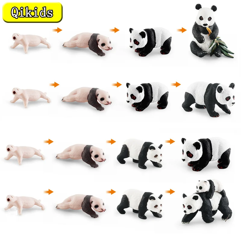 New Animal Life Cycle Board Children Toys Montessori Teaching Aids Animal Pandas Growth Cycle Model Set Preschool Cognitive Toys