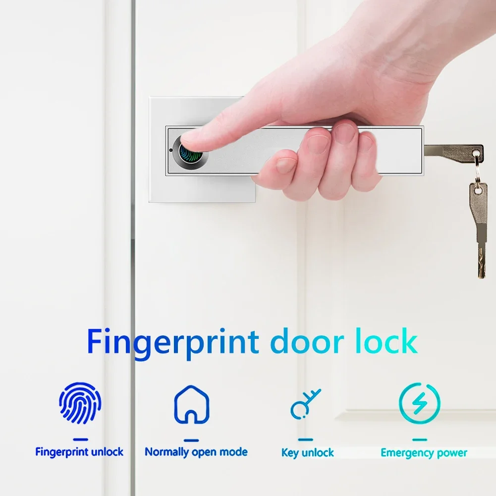 Electronic Smart Lock Semiconductor Biological Fingerprint Handle Lock For Alexa with Keys for Smart Home Office Bedroom