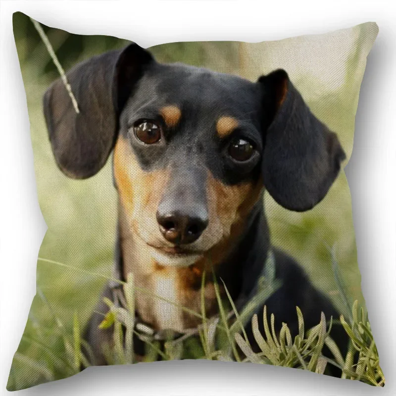 Dachshund Pillowcase Square Zipper  Home Wedding Decoration Non-fading