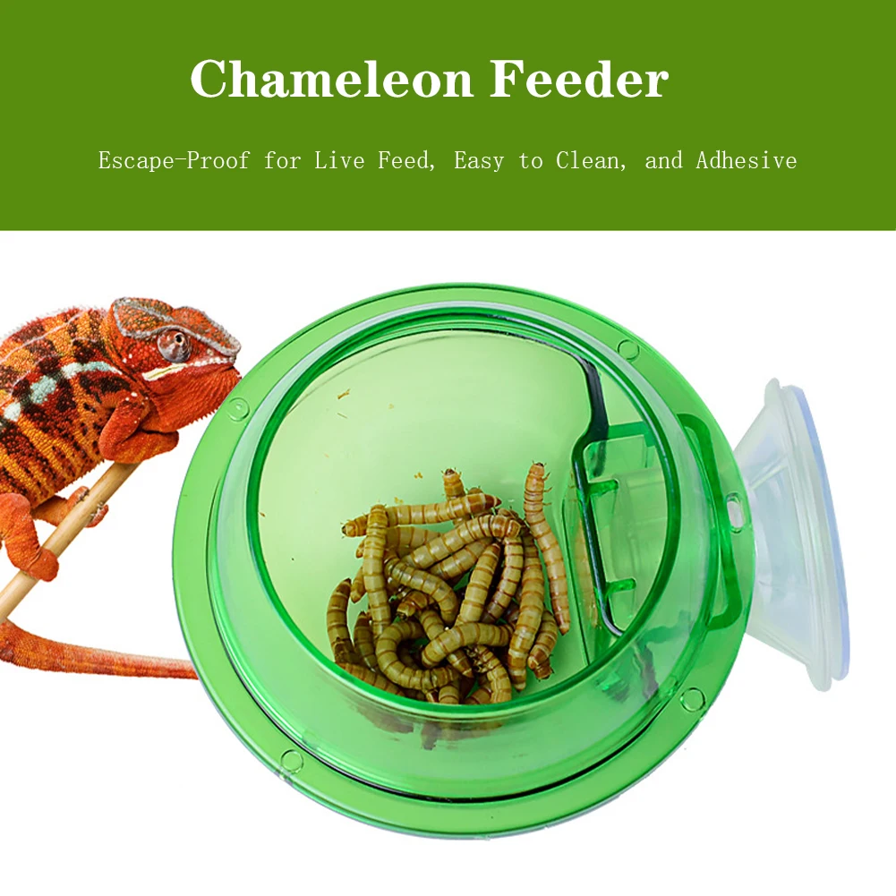 Suction Cup Reptile Feeder, Chameleon Feeding Food Bowl, Escape Proof Worm Dish, Reptile Ledge Accessories Supplies