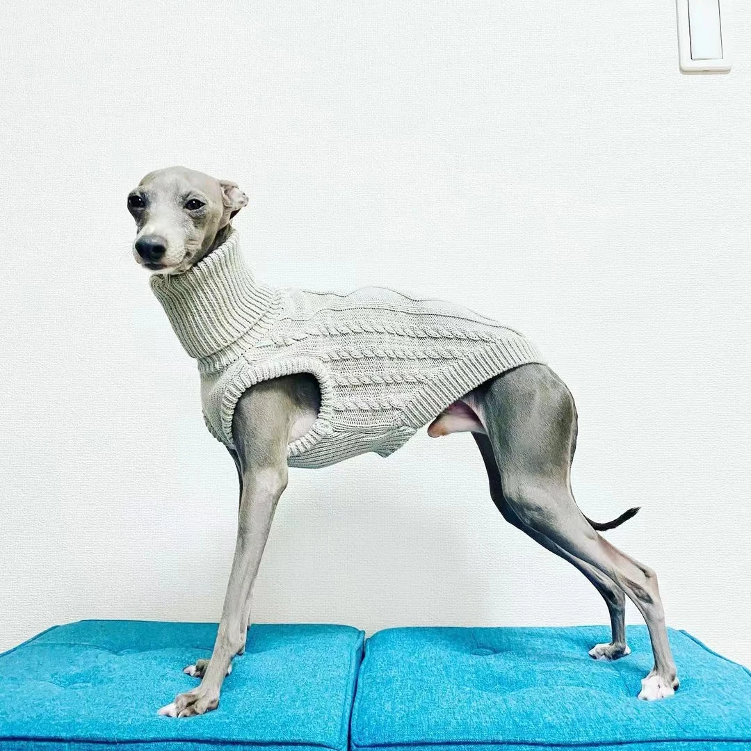 Turtleneck sweater for greyhound, whippet, galgo, saluki, lurcher, italian greyhound, dog soft fleece jumper clothes