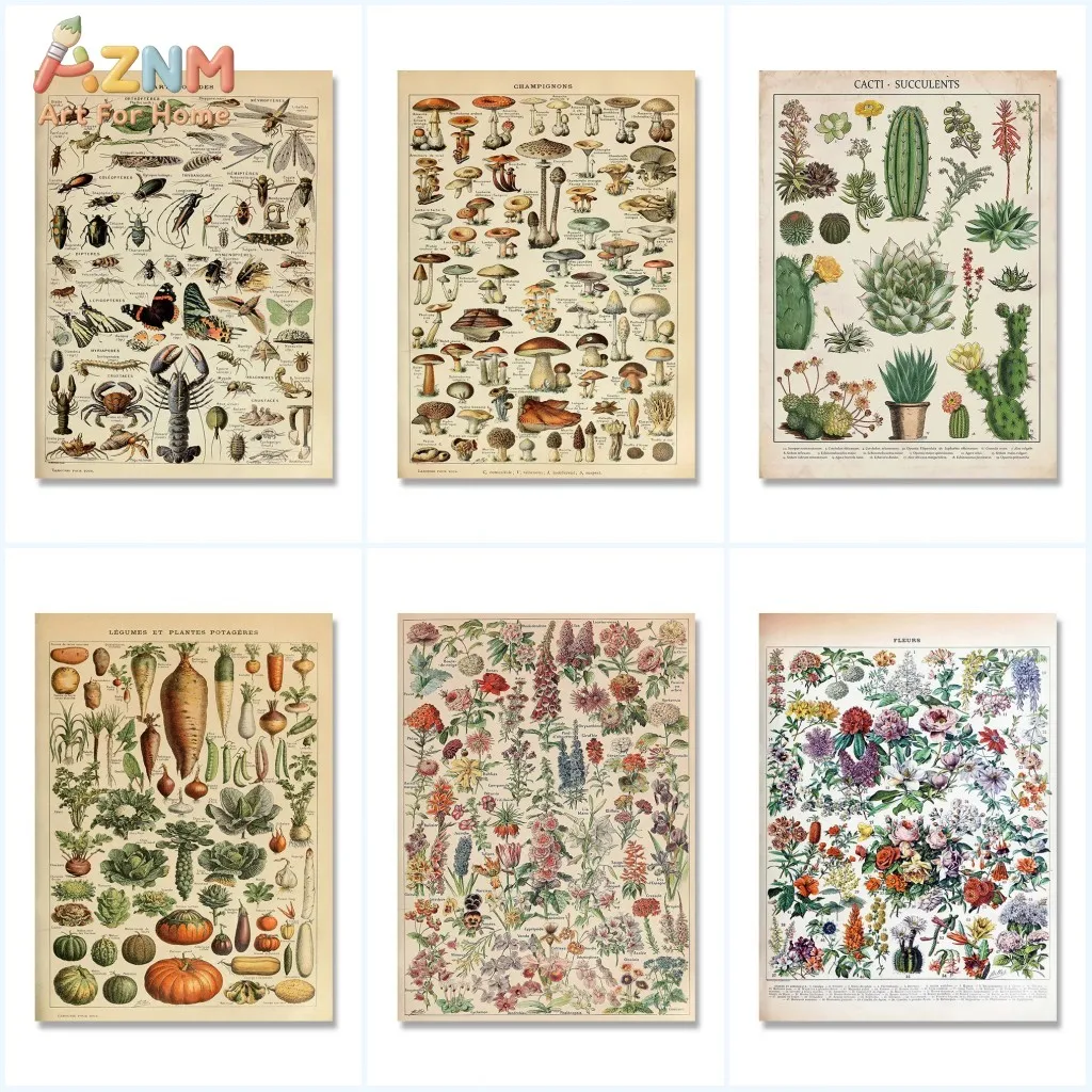 AZNM Vintage Botanical Scientific Illustration Canvas Wall Art, Retro Mushroom Insect Cactus Vegetable Flower Print Poster, Unfr