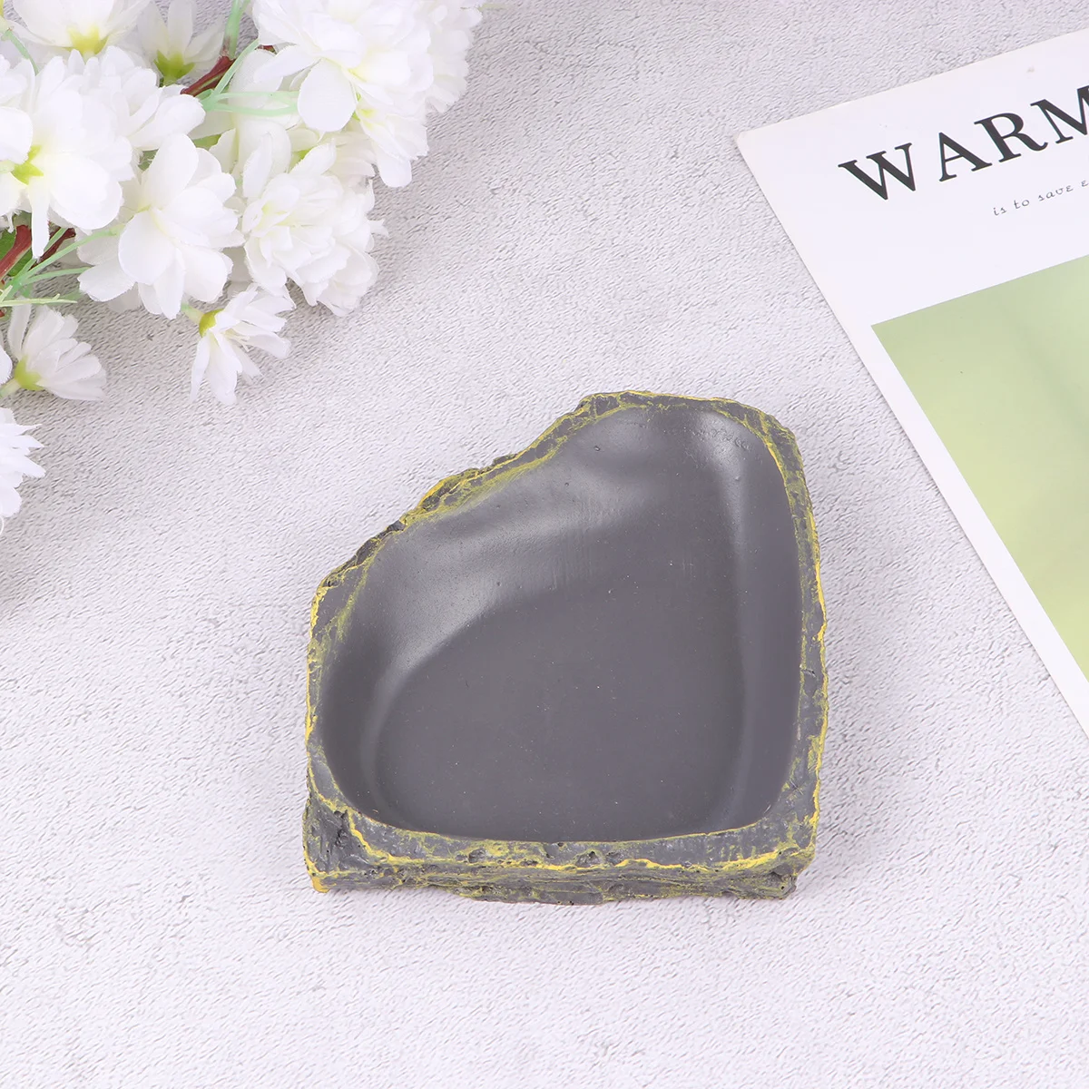 

Thicken Bowl Reptile Feeder Dark Green Lizard Turtle Food Dish Spider Durable Smooth Surface Easy Cleaning Space Saving