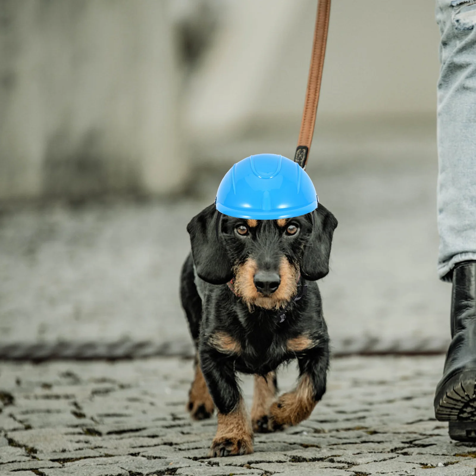 

Small Dog Motorcycle Adjustable Pet Safety Hard Hat Breathable Mesh Chin Strap Protection for Chihuahua Pomeranian Yorkie