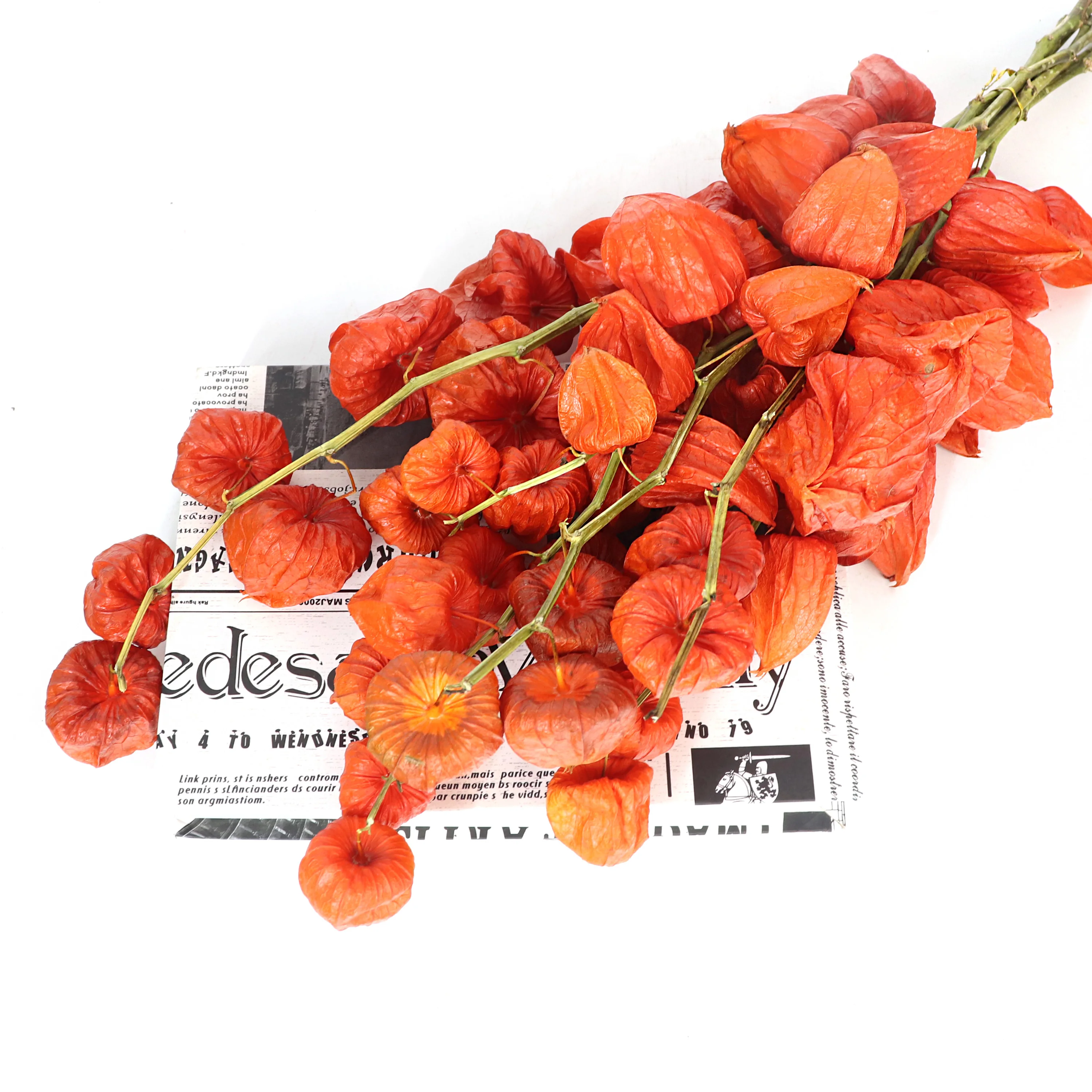 Dried Physalis Branch,5PCS/Bundle Real Orange Dried Flowers,for Christmas,DTY Crafts,Home,Party,Vase,Table,Wedding Decor view 4