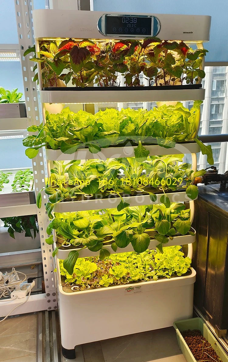 

ydroponic System for Vegetables Flowers New Agricultural Intelligent H