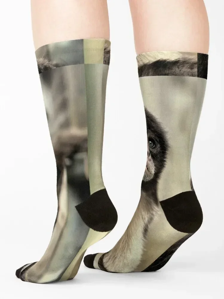 Spider Monkey Socks kids cycling hockey bright garter Men Socks Luxury Brand Women's