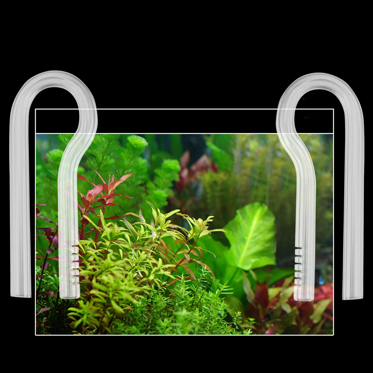 

R Shaped Aquarium Glass Water Inlet Outlet Tube 13cm Flow Control Prevent Flooding Water Tube Fish Tank