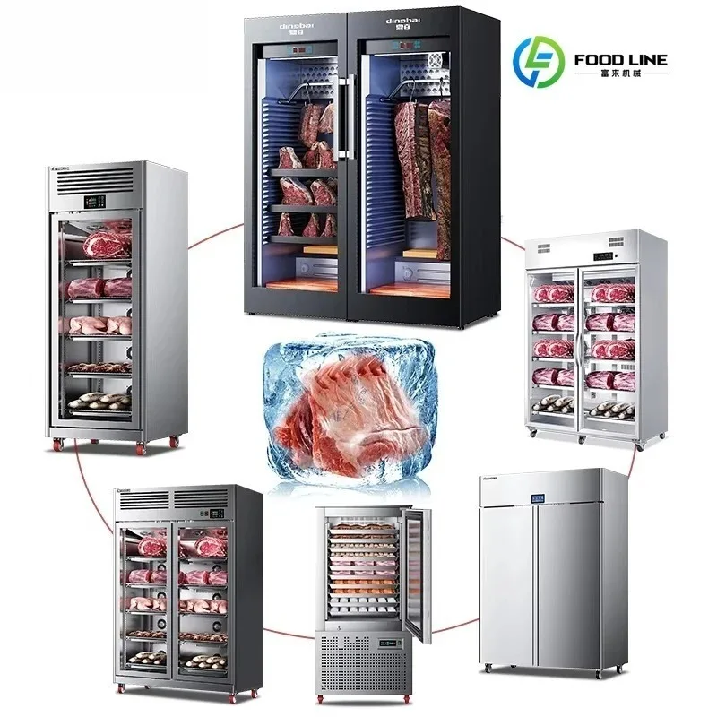 Multi-Function Stainless Steel Electric Kitchen Equipment Beef Aging Cabinet Blast Chiller Thawing Cabinet Customized2026 New