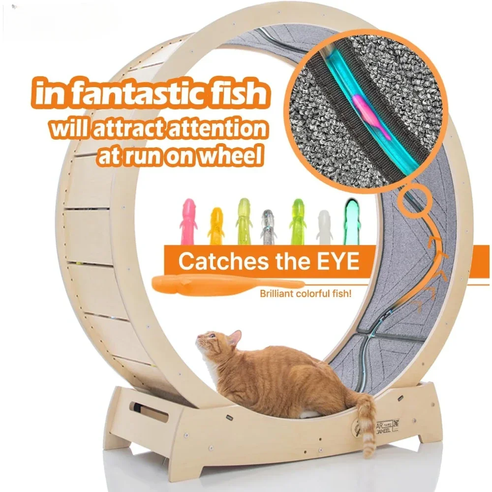 Cat Treadmill Exercise Easy Assembly Durable