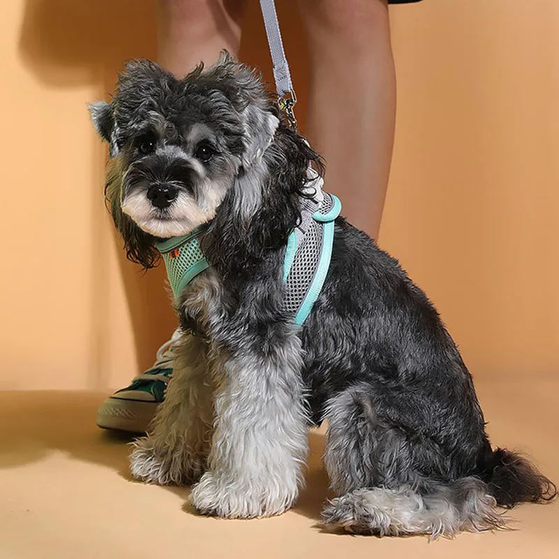 Cão arnês colete peito gato coleiras corda pequenos cães reflexivo respirável ajustável ao ar livre caminhadas suprimentos para animais de estimação