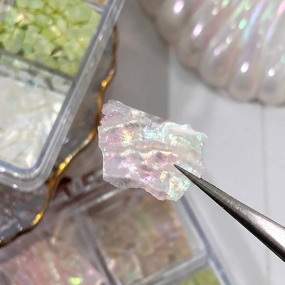 12grids Laser Natural Abalone Slices Nail Charms Irregular Glitter Abalone Shell Nail Sequins Flakes Summer Manicure Accessories