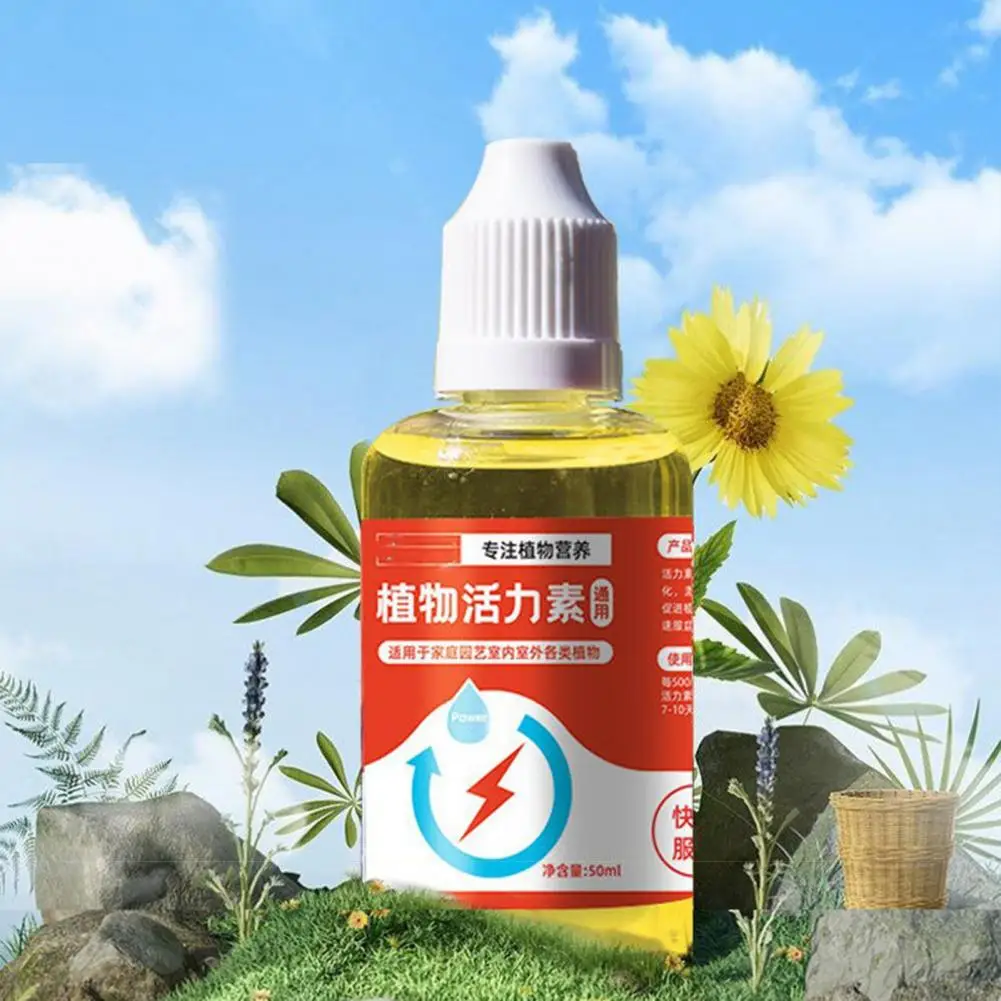 

Full of Vitality Bonsai Nutrient Liquid High Survival Rate Cultivation Portable Fresh-keeping Plant Nutrient Liquid
