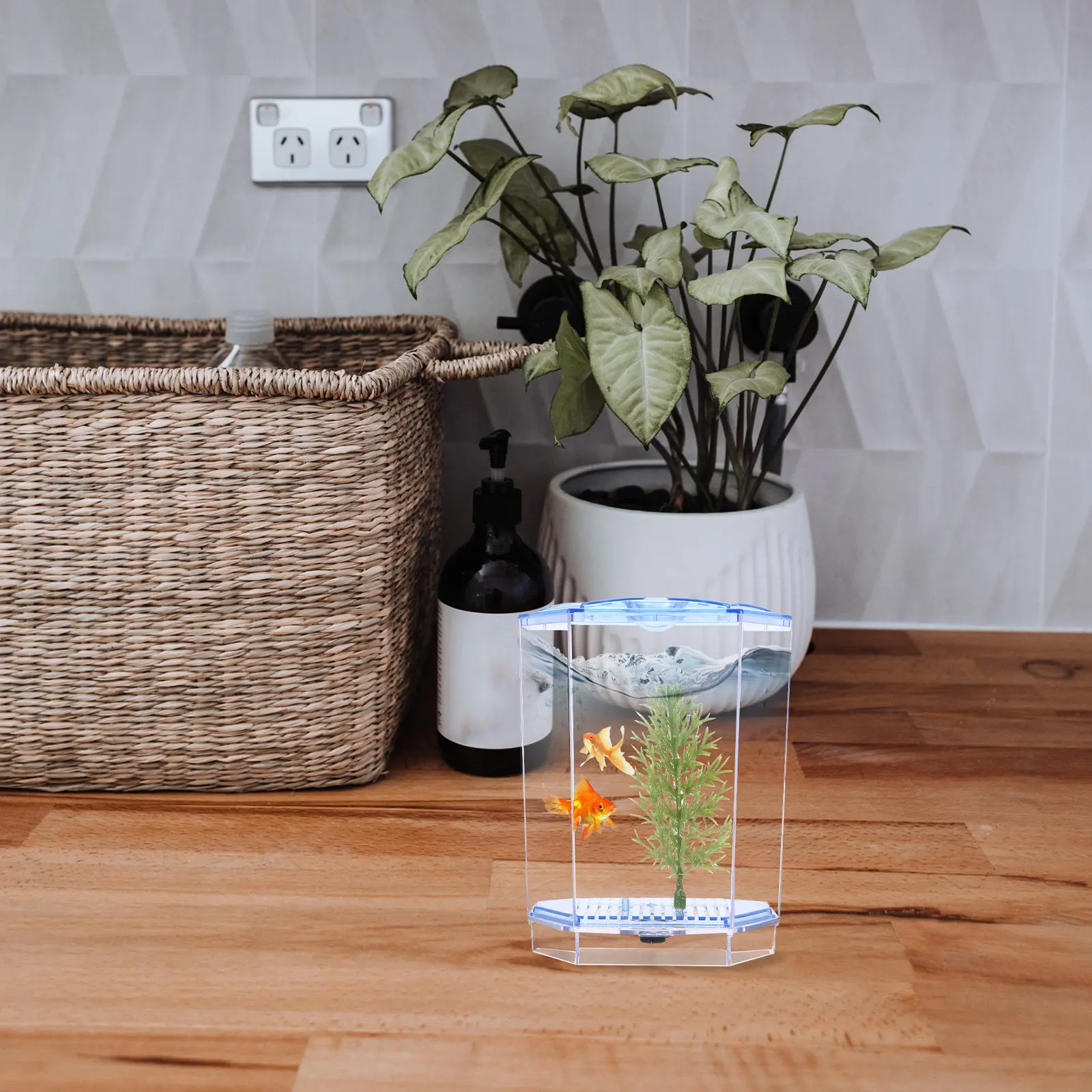 Mini Fish Tank Clear Plastic A - Planted Aquarium Mini ulasan dan harga