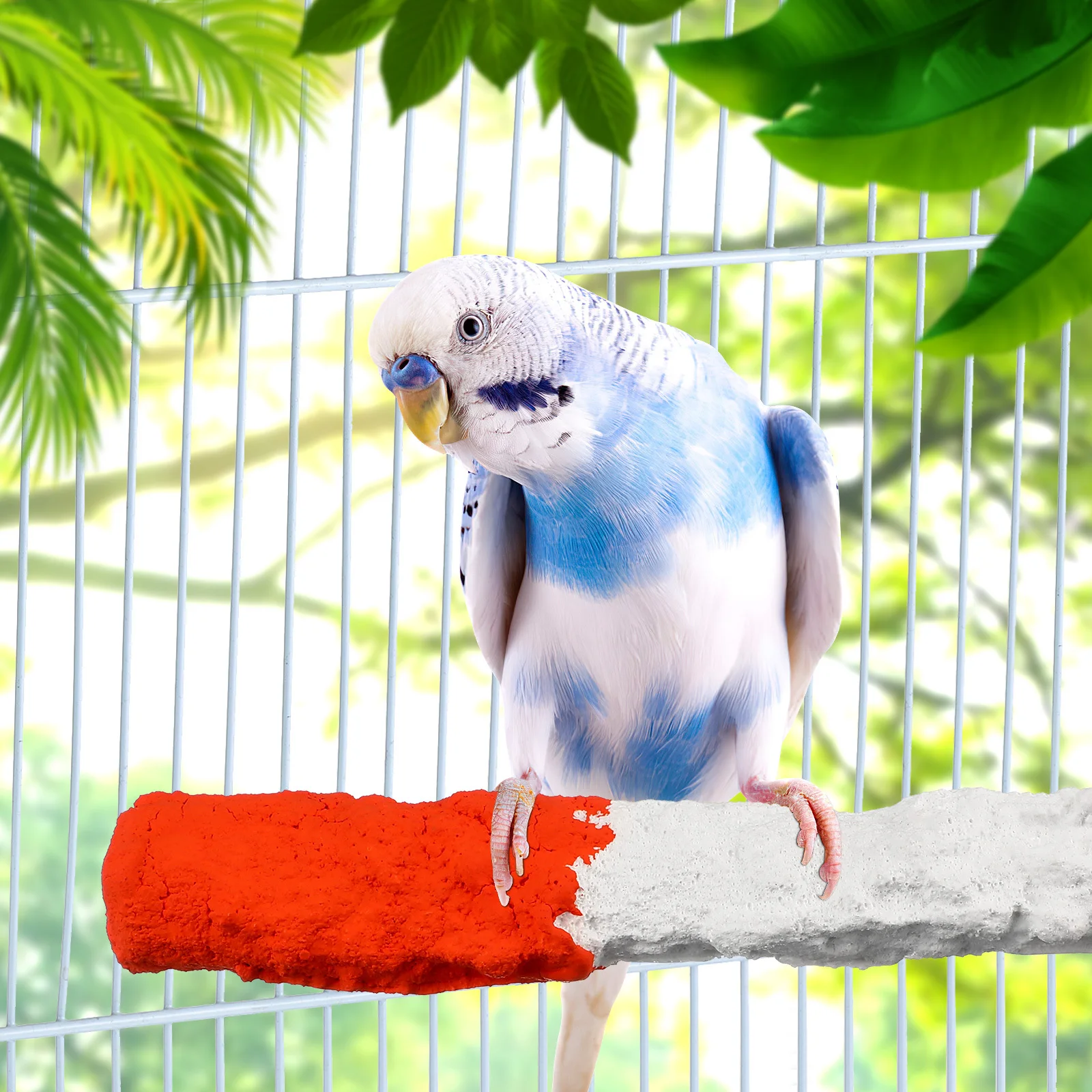 

2Pcs High Calcium Fruit Bird Perch Parrot Stand Paw Grinding Rest Chew Activity Center Bird Perch Parrot Supplies