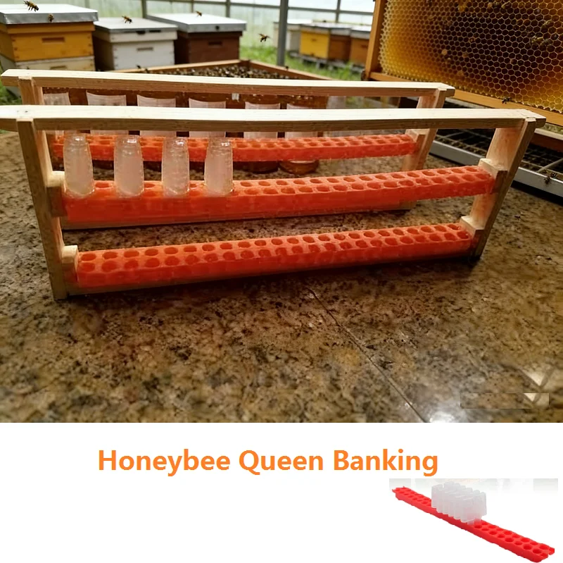 

Queen Banking Queen Cell Cage with Transport Box Kit Bee Moving Isolator Protection Case JZBZ Shipping Bar Beekeeping Tools