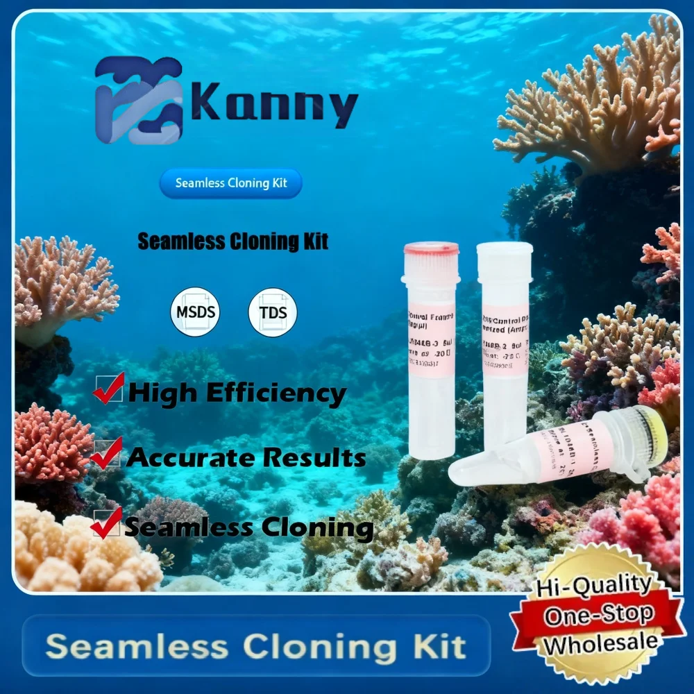 Seamless Cloning Kit for In Vitro Recombinant DNA Cloning and Research Applications Original Product