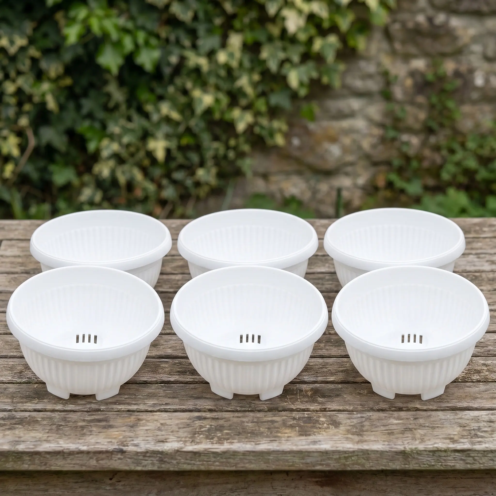 6Pcs Succulent Planter Pots Set Indoor Outdoor Garden Flower Pots Shallow Round Plastic Flower Planter Container