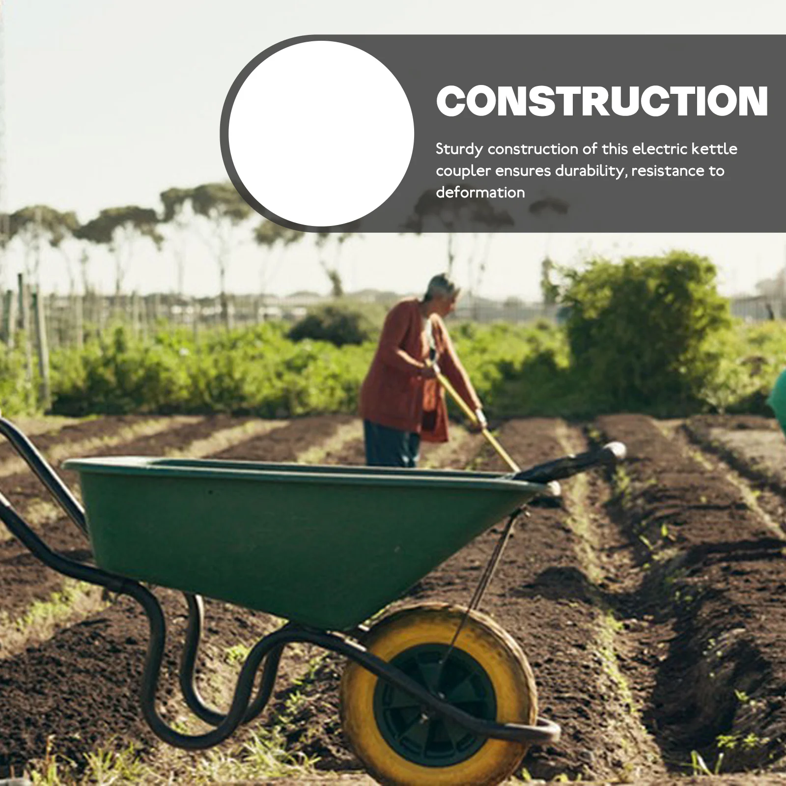 

Stainless Steel Carriage Bolt Set Assorted Sizes Hardware Kit for Unicycle Handle Replacement Strong Fasteners Nut