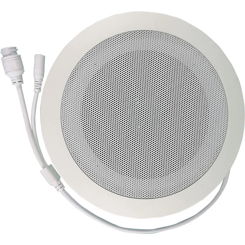 

Network Digital Shout Paging Broadcast Ceiling Ceiling Speaker Embedded Active Built-in Power Amplifier Speaker