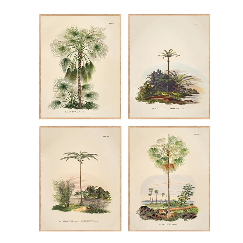 Vintage Botanical Palm Tree Illustration Art Posters and Prints Canvas Printing Wall Picture for Living Room Home Decoration