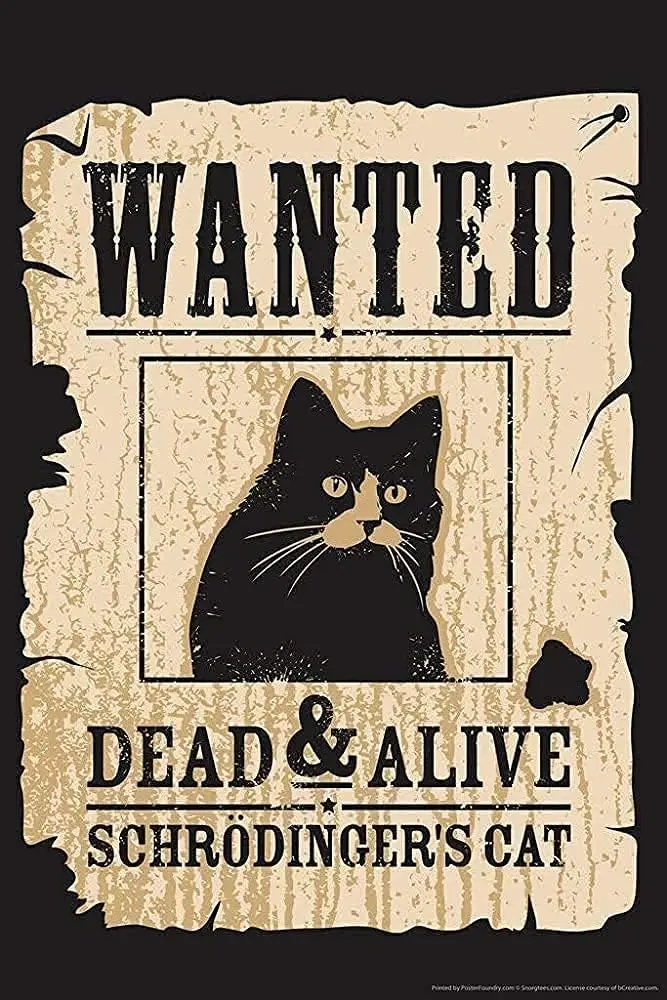 Cat Black Cat Wanted Dead & Alive Schrodinger's Cat Cat Art Pictures Metal Tin Sign Kitchen Pub Novelty Coffee Bar Club