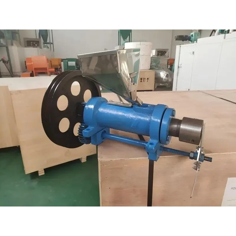 Birui High Productivity Electric Floating Fish Extruder Animal Feed Making Machine 30-40Kg/H Capacity Made In China
