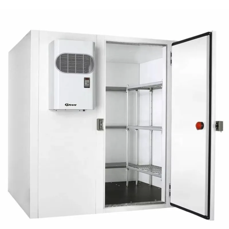 Small Size Industrial Cold Room Storage Cool Room Freezer Container Cold Room Storage for Meat