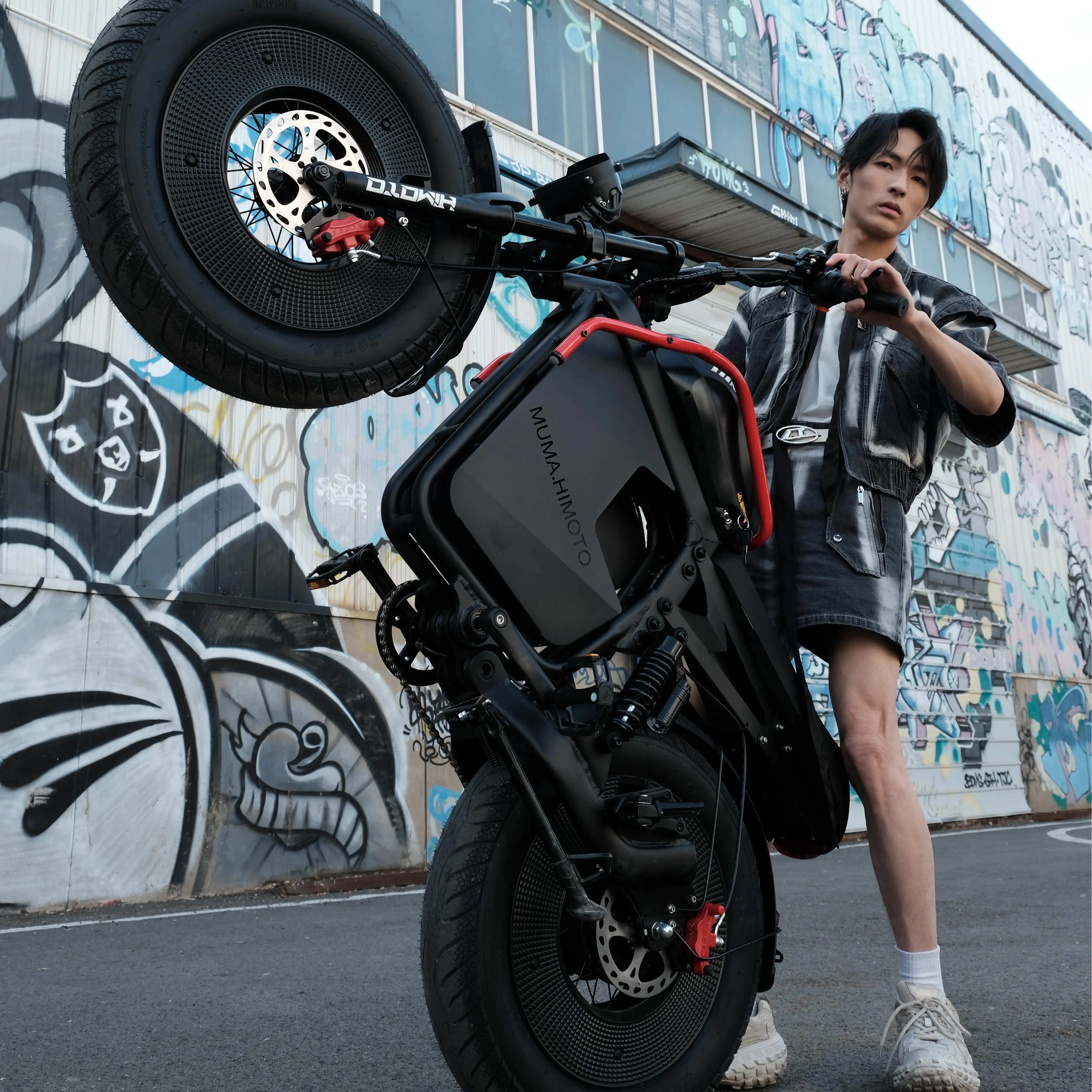 Doppelsitziges Cargo-Elektrofahrrad mit Vollfederung, Hybrid-Mountainbike, E-Bike für Erwachsene