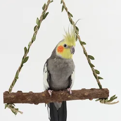 Pepper wood parrot swing toy, bird cage swing special hanging ring, parrot decompression toy