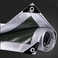 180GSM 0.32mm Silvery Green PE Tarpaulin Garden Balcony Terrace Rainproof Cloth Car Truck Gazebo Furniture Waterproof Tarp