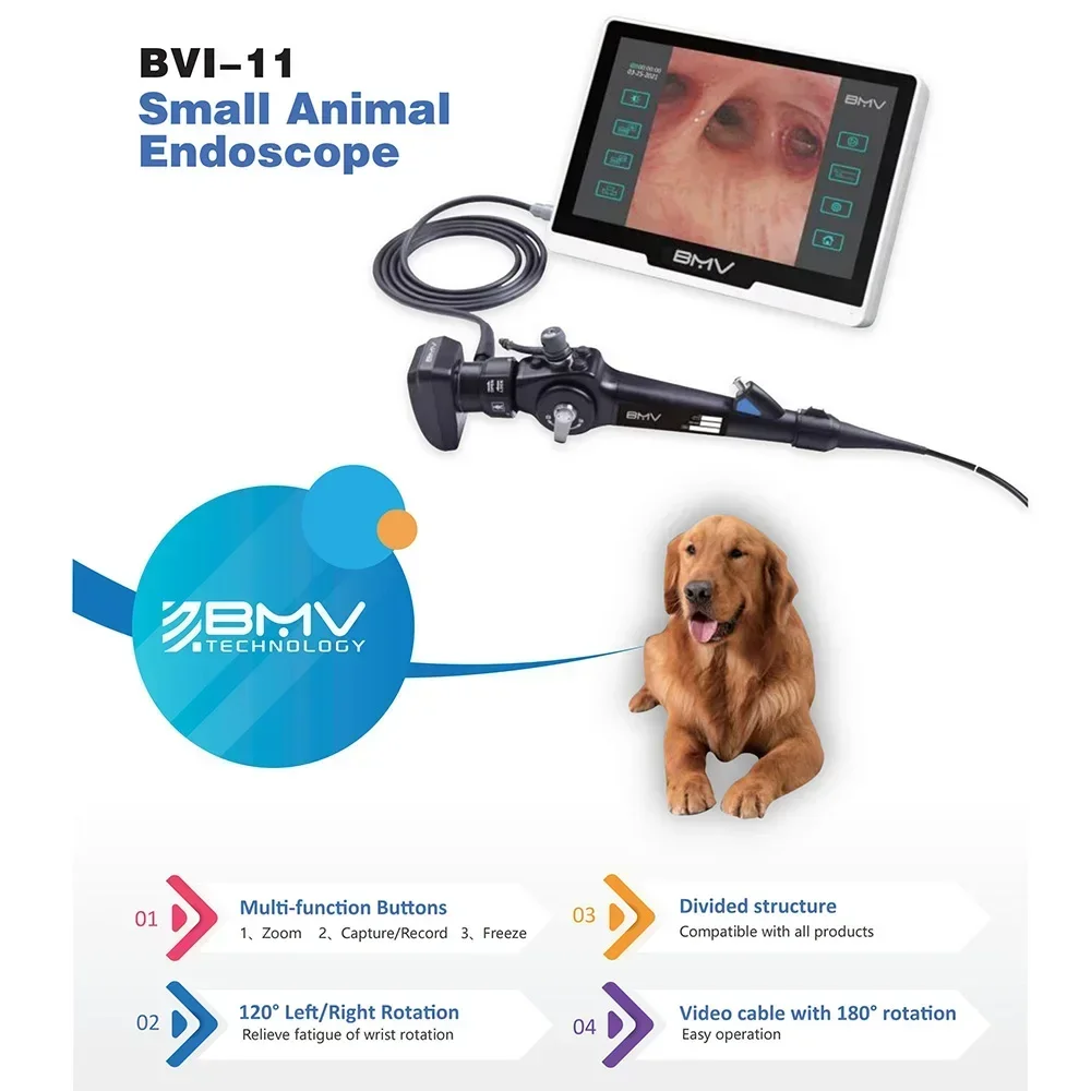 Veterinary Portable Video Gastroscope Equipment Medical No Fiber Flexible Endoscope Stomach Endoscope For Pet Animals