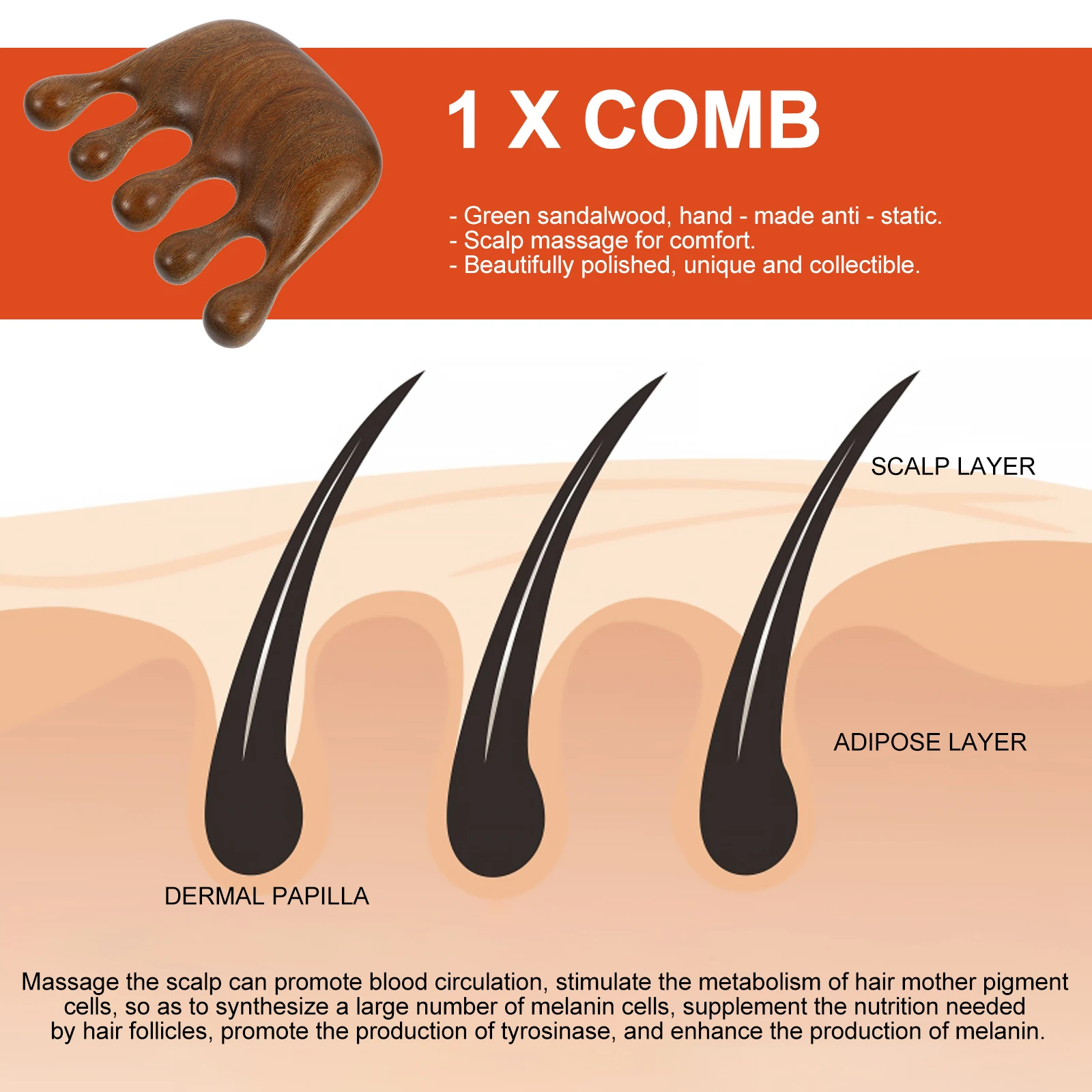 

Premium Wood Comb Anti-Static Massage Comb for Scalp Health Portable Lightweight Suitable for All Hair Types Combs