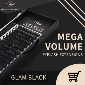 Winky Beauty Passen Sie Ihre Logo -Erweiterung der einzelnen Lie -Wimpern Russian Volumen Klassische Wimpernverlängerungen für Make -up an 8 Hauptverkäufe Russian Volumen Fans - №4