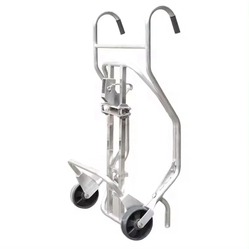 

Customizable Heavy Duty Industrial Truck Steel Hand Trolley with 500kg Load Capacity Enclosed Structure